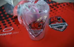 Le Noël des petits handballeurs..