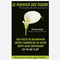 Le Pouvoir des Fleurs - Valérie Paquien Artisan fleuriste